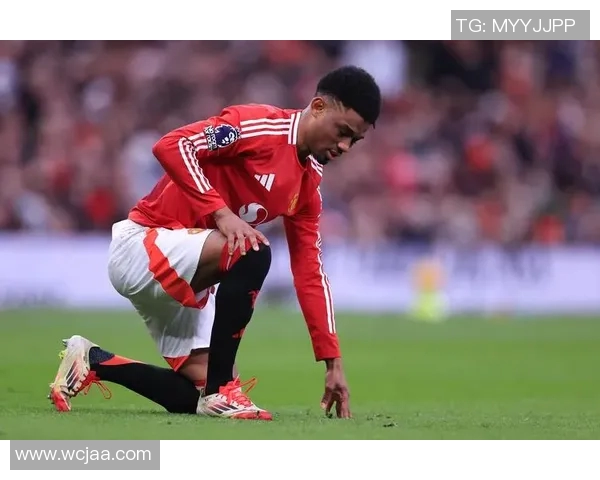 曼联队内伤病情况分析及对球队战绩的影响探讨