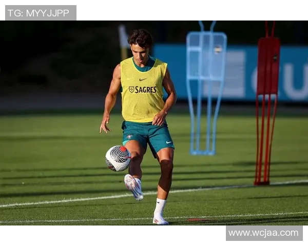 葡萄牙队在欧洲杯8强中遭遇击败，未来之路该如何走？