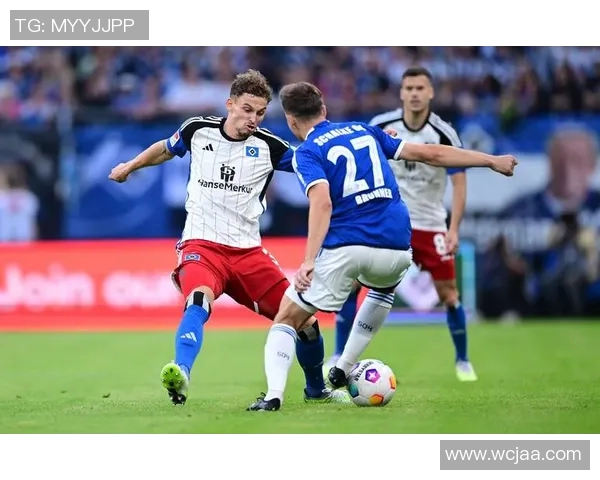 霍芬海姆:德甲赛场上的一支独特之师 霍芬海姆:德甲赛场上的一支独特之师